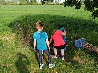 Bild: Wunder in der Windl&uuml;cke