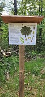 Bild: Balsam f&uuml;r die Seele