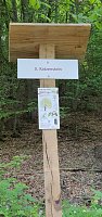 Bild: Balsam f&uuml;r die Seele