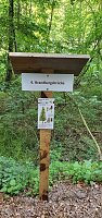 Bild: Balsam f&uuml;r die Seele