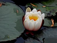 Bild: Farbenpracht