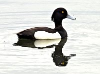 Bild: Farbenpracht