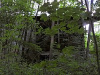 Tanzteich bei Niedersachswerfen Bild: Tanzteich bei Niedersachswerfen