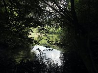 Tanzteich bei Niedersachswerfen Bild: Tanzteich bei Niedersachswerfen
