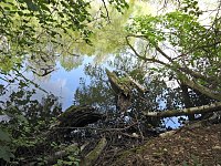 Tanzteich bei Niedersachswerfen Bild: Tanzteich bei Niedersachswerfen