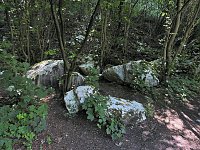 Tanzteich bei Niedersachswerfen Bild: Tanzteich bei Niedersachswerfen