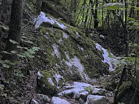 Tanzteich bei Niedersachswerfen Bild: Tanzteich bei Niedersachswerfen