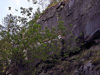 Tanzteich bei Niedersachswerfen Bild: Tanzteich bei Niedersachswerfen