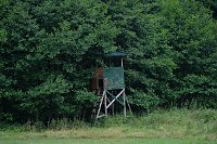 Abendspaziergang mit Kamera Bild: Abendspaziergang mit Kamera