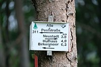 Abendspaziergang mit Kamera Bild: Abendspaziergang mit Kamera