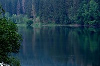 Abendspaziergang mit Kamera Bild: Abendspaziergang mit Kamera