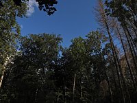 Bild: Rund um Petersdorf