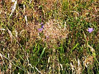 Bild: Rund um Petersdorf