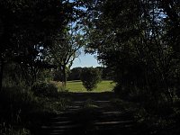 Bild: Rund um Petersdorf