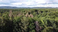 Bild: Rund um Petersdorf