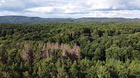 Bild: Rund um Petersdorf