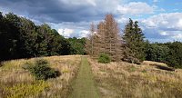 Bild: Rund um Petersdorf