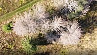 Bild: Rund um Petersdorf