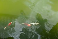 Bild: Impressionen aus Bad Langensalza