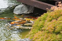Bild: Impressionen aus Bad Langensalza