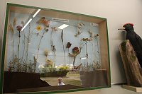 Der Landschaftspflegeverand Südharz-Kyffhäuser ist demnächst mit mobilen Informationen rund um die Flora und Fauna des Südharzes unterwegs Bild: Der Landschaftspflegeverand Südharz-Kyffhäuser ist demnächst mit mobilen Informationen rund um die Flora und Fauna des Südharzes unterwegs