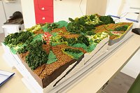 Der Landschaftspflegeverand Südharz-Kyffhäuser ist demnächst mit mobilen Informationen rund um die Flora und Fauna des Südharzes unterwegs Bild: Der Landschaftspflegeverand Südharz-Kyffhäuser ist demnächst mit mobilen Informationen rund um die Flora und Fauna des Südharzes unterwegs