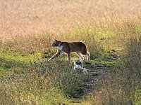 Naturwanderung bei Neustadt Bild: Naturwanderung bei Neustadt