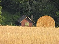 Naturwanderung bei Neustadt Bild: Naturwanderung bei Neustadt