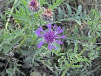 Naturwanderung bei Neustadt Bild: Naturwanderung bei Neustadt