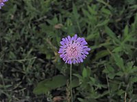 Naturwanderung bei Neustadt Bild: Naturwanderung bei Neustadt
