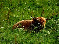 Naturwanderung bei Neustadt Bild: Naturwanderung bei Neustadt
