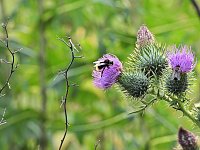 Naturwanderung bei Neustadt Bild: Naturwanderung bei Neustadt