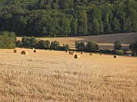 Naturwanderung bei Neustadt Bild: Naturwanderung bei Neustadt