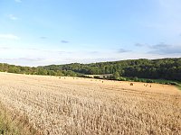 Naturwanderung bei Neustadt Bild: Naturwanderung bei Neustadt