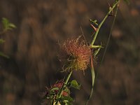 Naturwanderung bei Neustadt Bild: Naturwanderung bei Neustadt