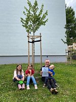 Bild: Baumaktion der WBG