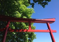 Bild: Ahornpark Ilfeld