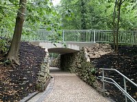 Bild: Einweihung der neuen Gehegetreppe
