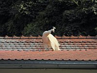 Bild: Unterwegs in Bad K&ouml;sen