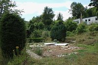 Was passiert im einst so schönen Teichtal bei Hainrode? Bild: Was passiert im einst so schönen Teichtal bei Hainrode?