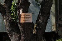 Was passiert im einst so schönen Teichtal bei Hainrode? Bild: Was passiert im einst so schönen Teichtal bei Hainrode?