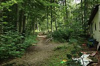 Was passiert im einst so schönen Teichtal bei Hainrode? Bild: Was passiert im einst so schönen Teichtal bei Hainrode?