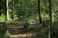 Was passiert im einst so schönen Teichtal bei Hainrode? Bild: Was passiert im einst so schönen Teichtal bei Hainrode?