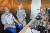 Bild: Silberdisteln bei ENNO