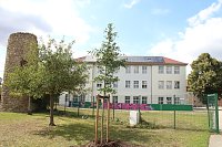 Bild: Baumpflanzung am Weltfriedenstag