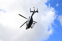 Bild: Gro&szlig;wildjagd