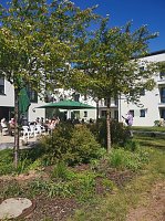 Bild: Viel losem Rolandhaus