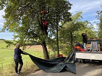 Apfelpflücken in Harztor Bild: Apfelpflücken in Harztor