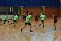 Bild: Saisonbeginn bei den Nordh&auml;user Handballern/innen