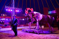 Bild: Circus Atlantik am Scheunenhof